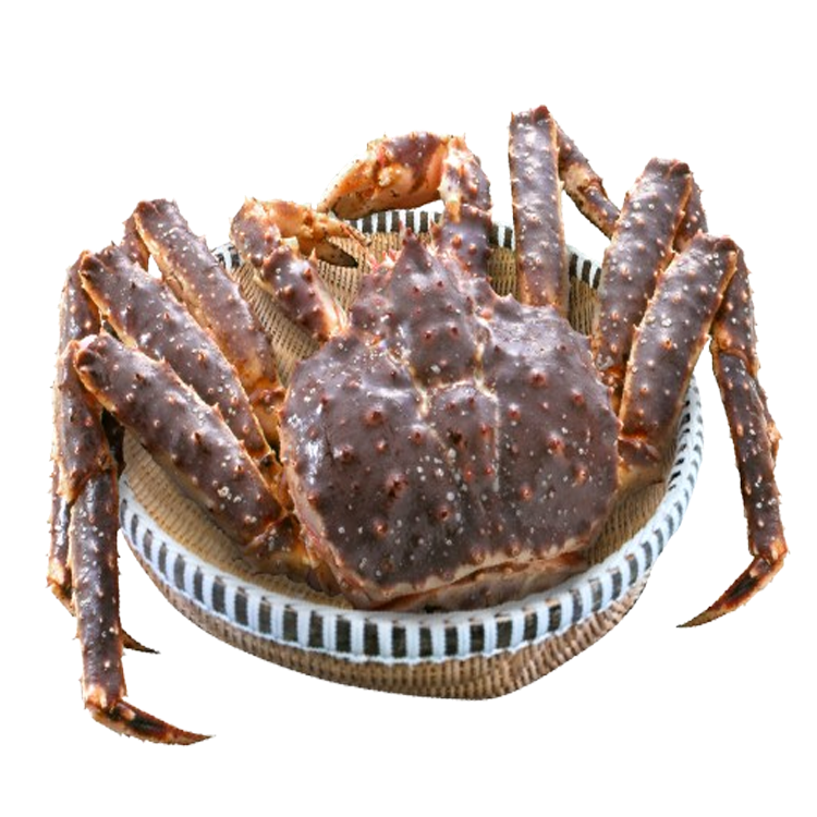 Cua Hoàng Đế - King Crab Đỏ Sống
