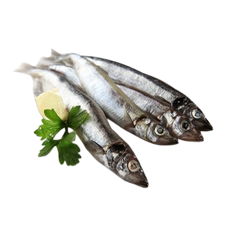 Cá Trứng Đông Lạnh