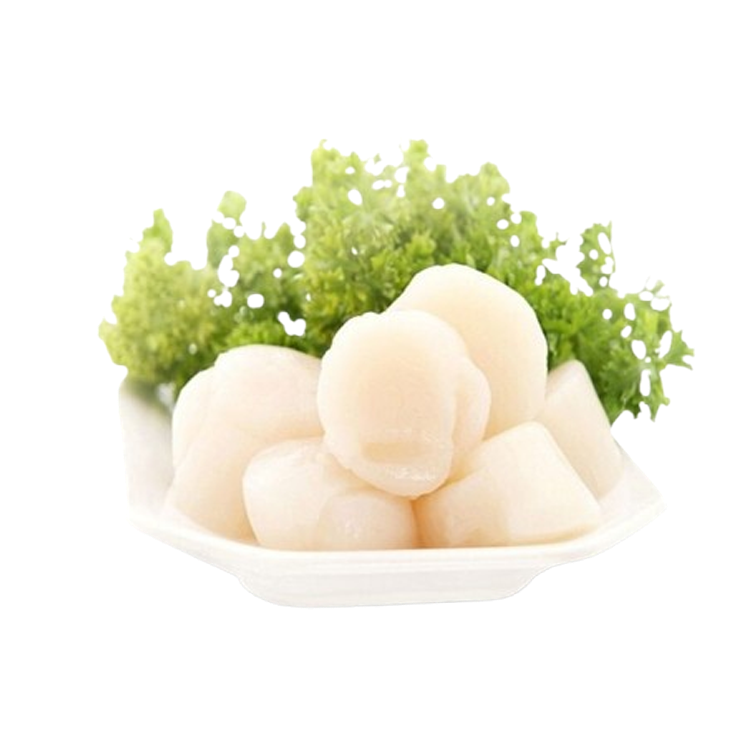 Cồi Sò Điệp Nhật