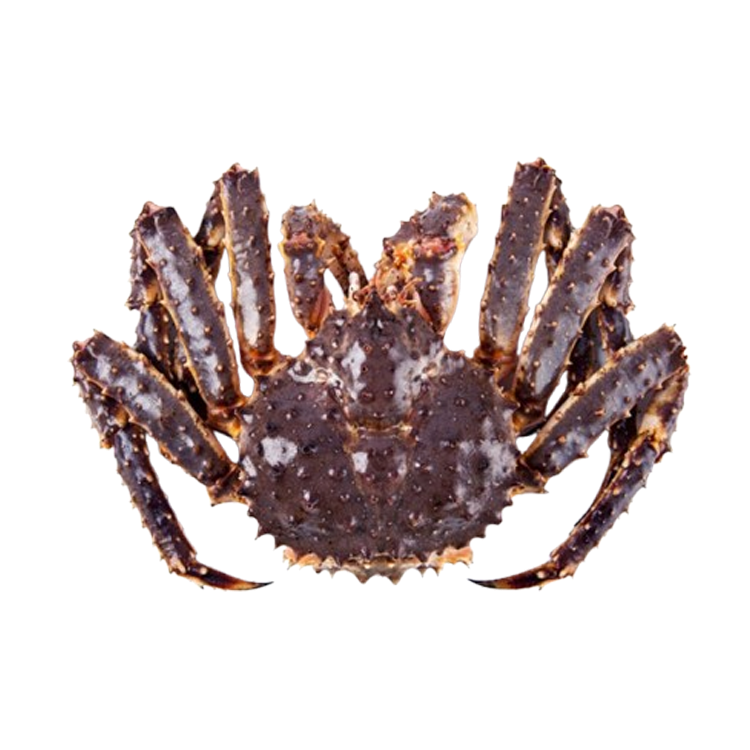 Cua Hoàng Đế (cua Alaska hay cua King Crab)