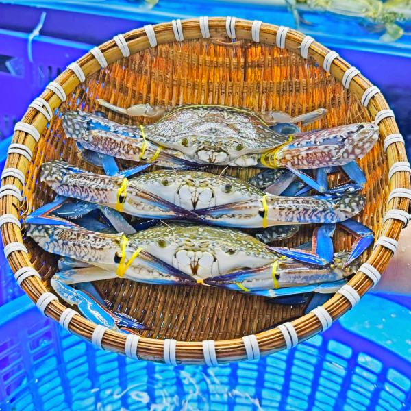 Ghẹ Xanh Sống 5-7 Con/kg