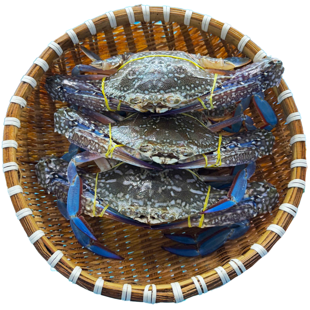 Ghẹ Xanh Sống 5-7 Con/kg