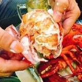 Tôm Hùm Alaska Nhỏ