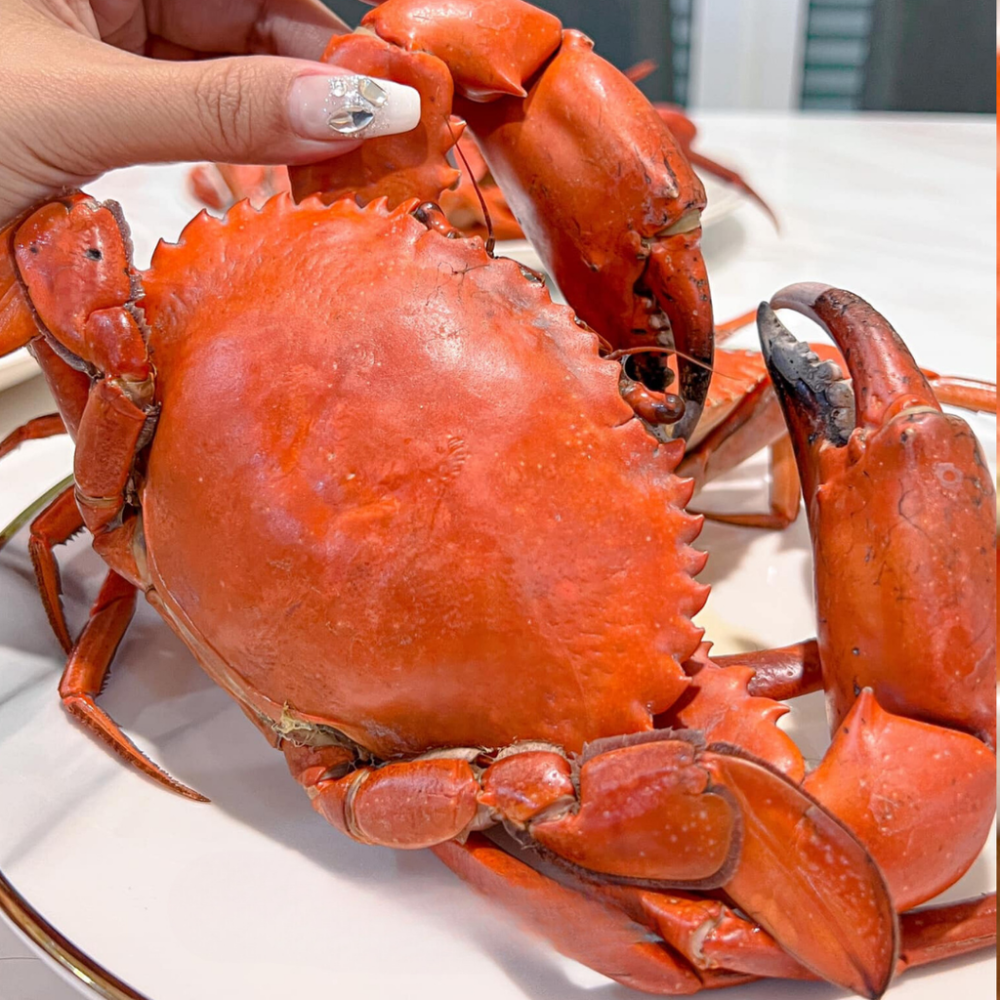 Cua Thịt Cà Mau Y3