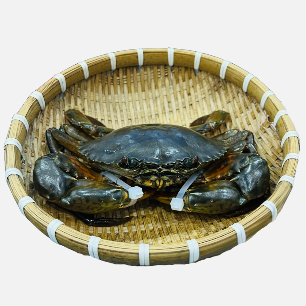 Cua Thịt Cà Mau Y3