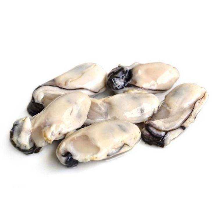 Ruột Hàu Sữa Tươi