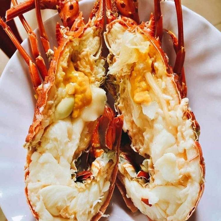 Tôm Hùm Bông Sống 700-900g/con