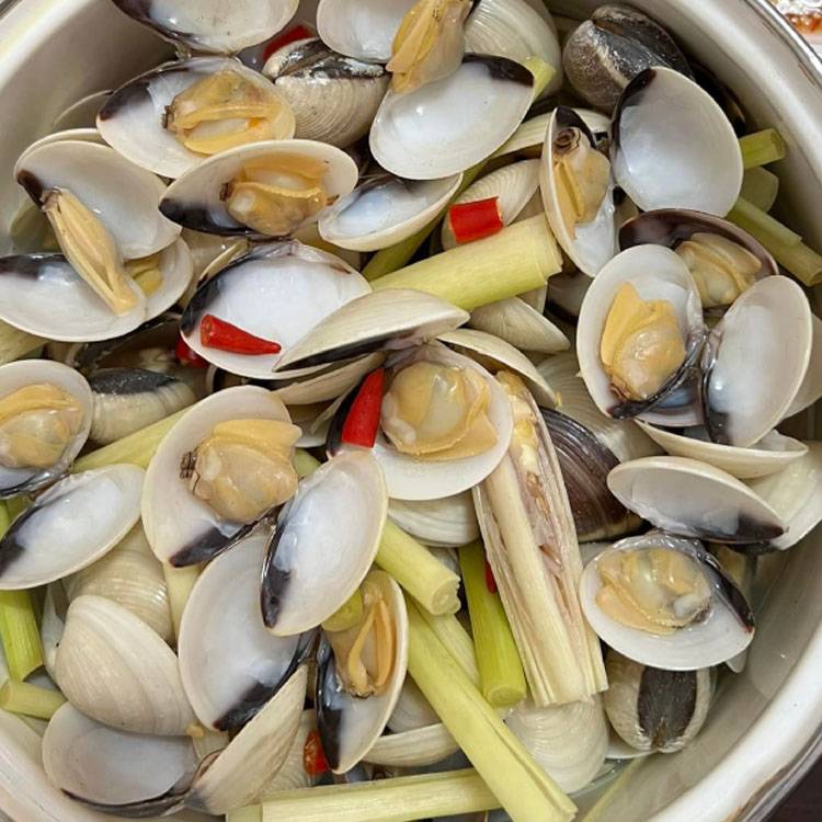 Nghêu Trắng Sống ( Ngao )