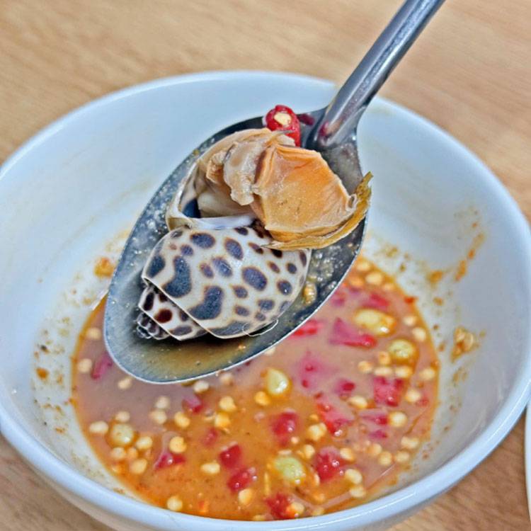 Ốc Hương Indonesia