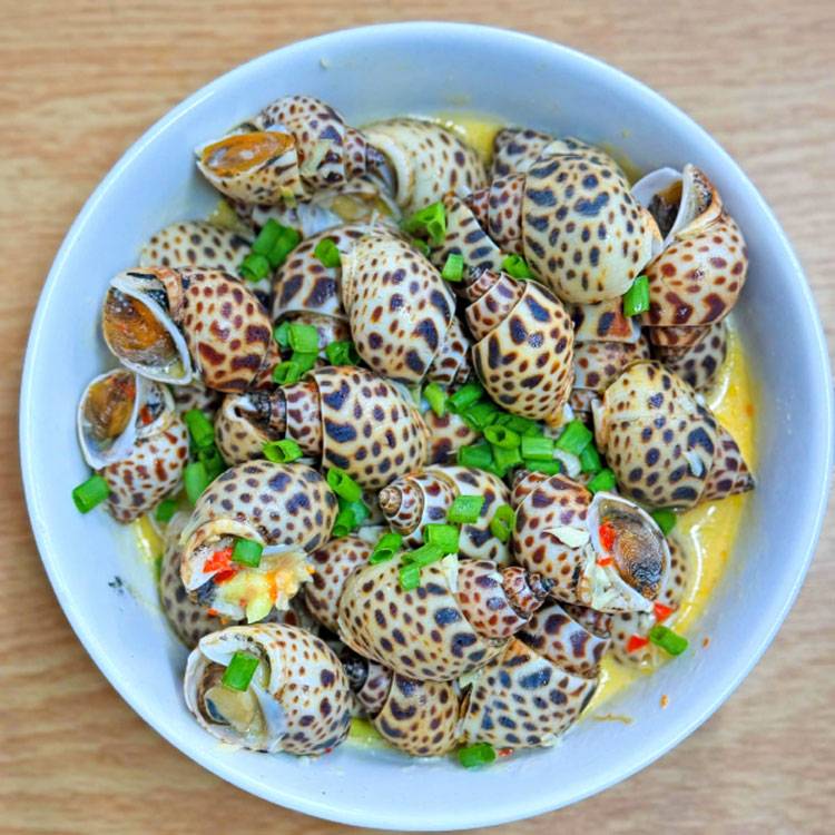 Ốc Hương Indonesia