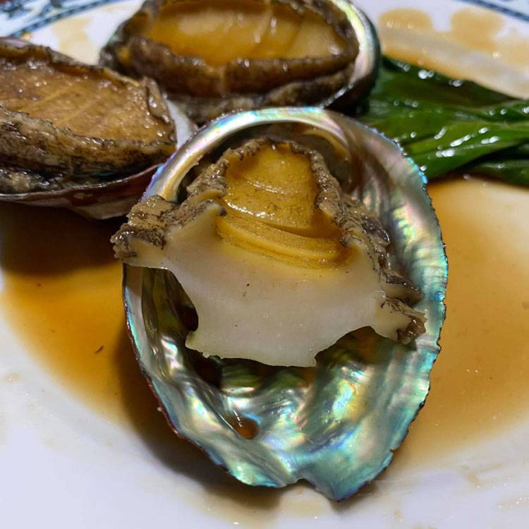 Bào Ngư Đông Lạnh Size 12