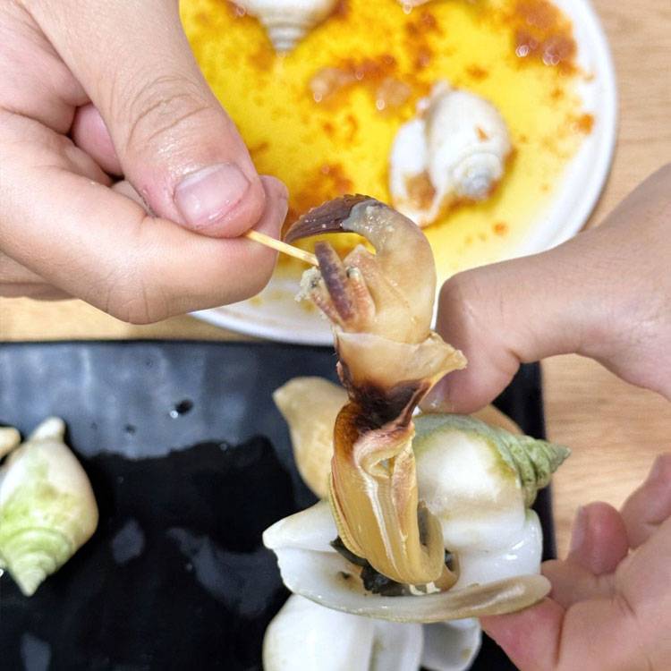 Ốc Nhảy Indonesia