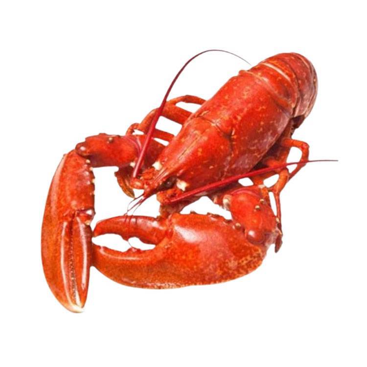 Tôm Hùm Đất Chín