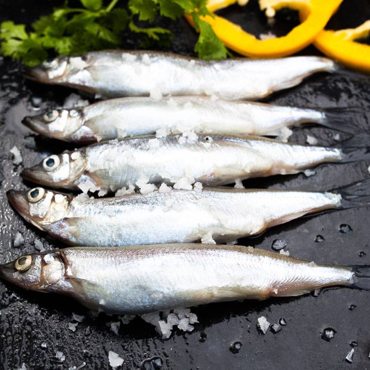 Cá Trứng Đông Lạnh