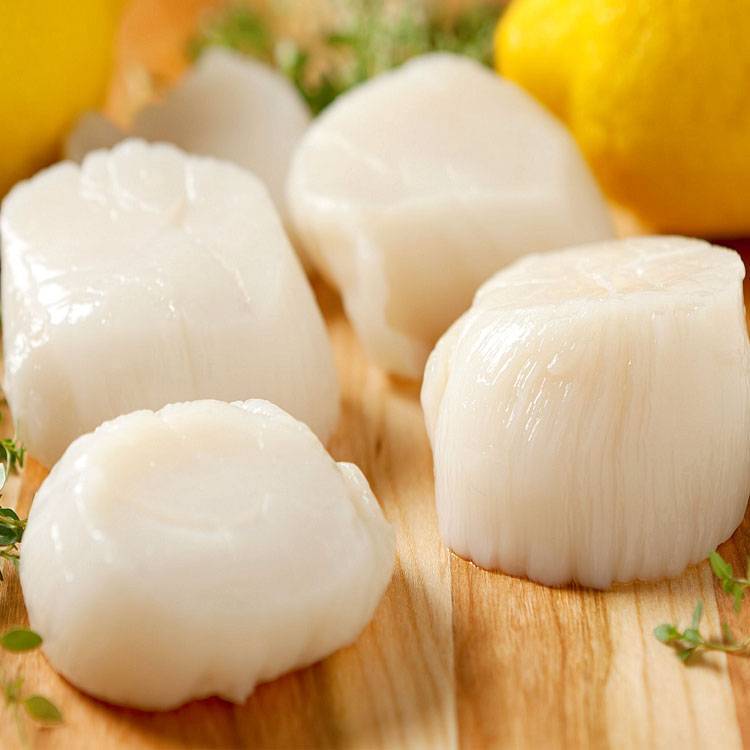 Cồi Sò Điệp Nhật Sushi