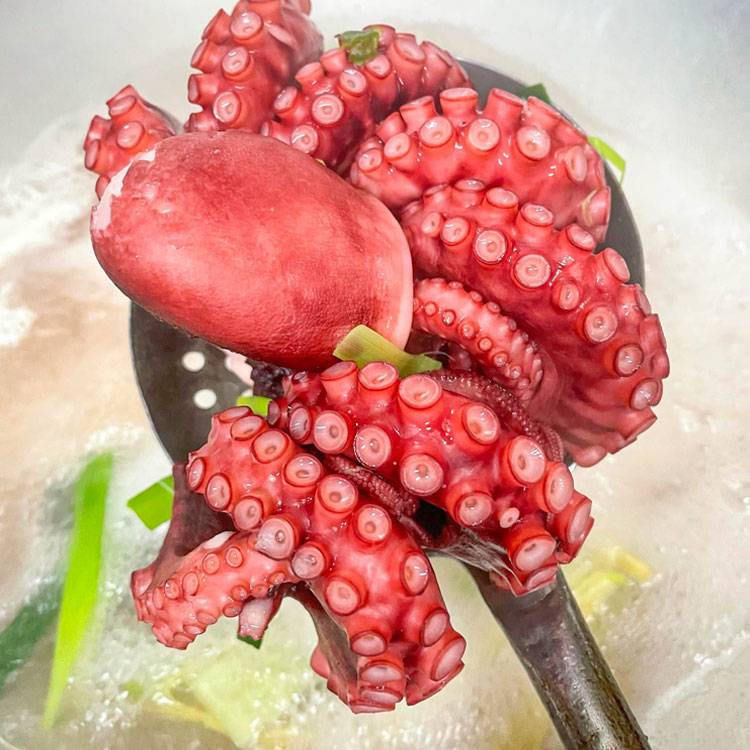 Bạch Tuộc Chín Nguyên Con