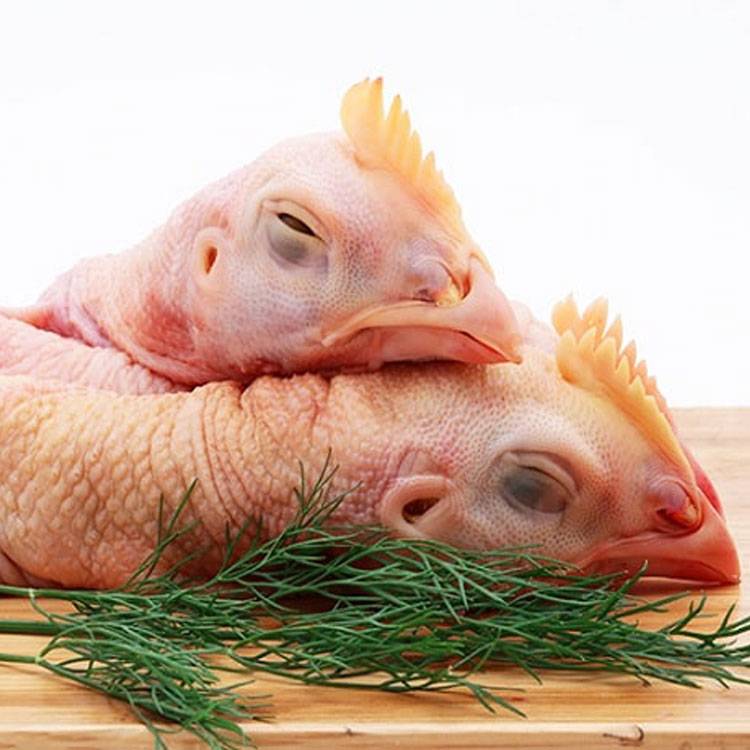 Đầu Cổ Gà Tươi