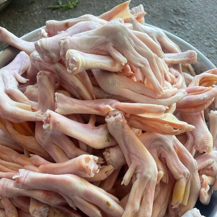 Chân Vịt Tươi