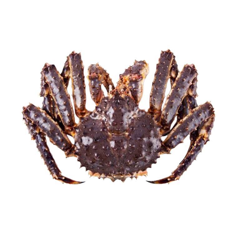 Cua Hoàng Đế (cua Alaska hay cua King Crab)