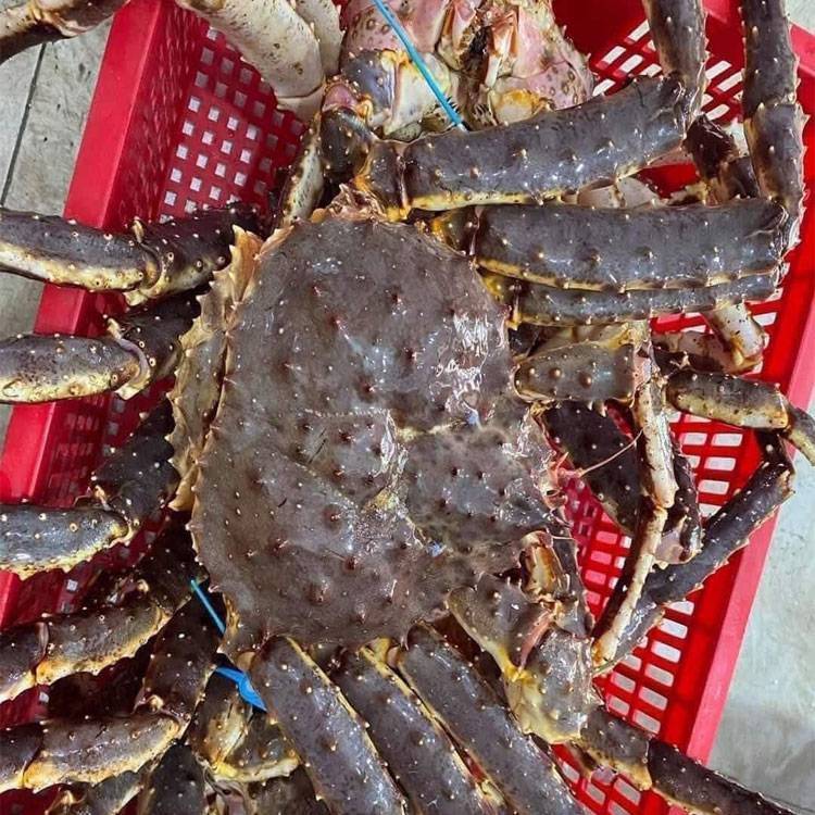 Cua Hoàng Đế (cua Alaska hay cua King Crab)