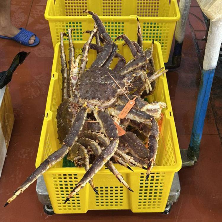 Cua Hoàng Đế (cua Alaska hay cua King Crab)